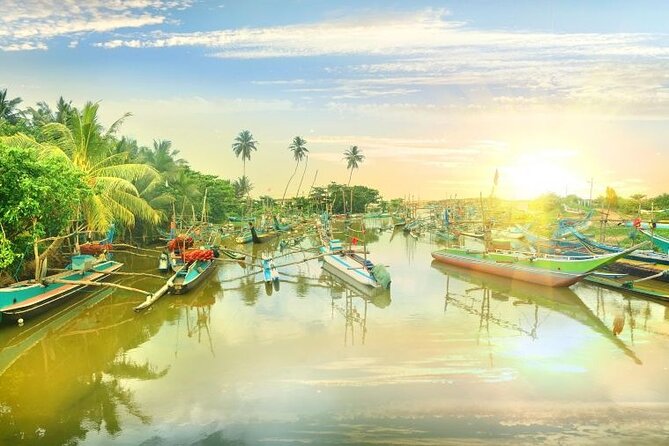 Negombo Lagoon & Muthurjawela Bird Watching Boat Tour - Who will enjoy this experience most