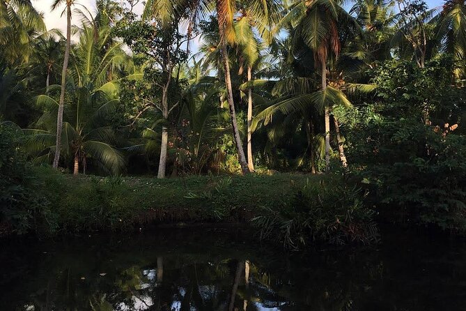Negombo Lagoon & Muthurjawela Bird Watching Boat Tour - Thirty minutes across Negombo Lagoon