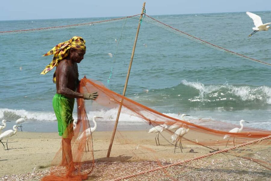 Negombo Private Tour: Market, Temples & Canal - Key points to know before you book