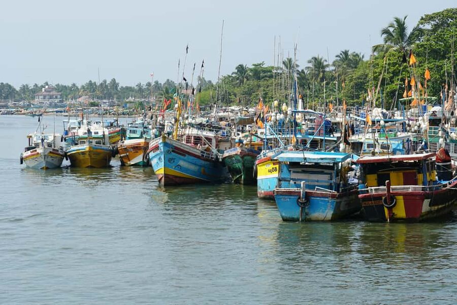 Negombo Private Tour: Market, Temples & Canal - Sri Singama Kali Amman Kovil