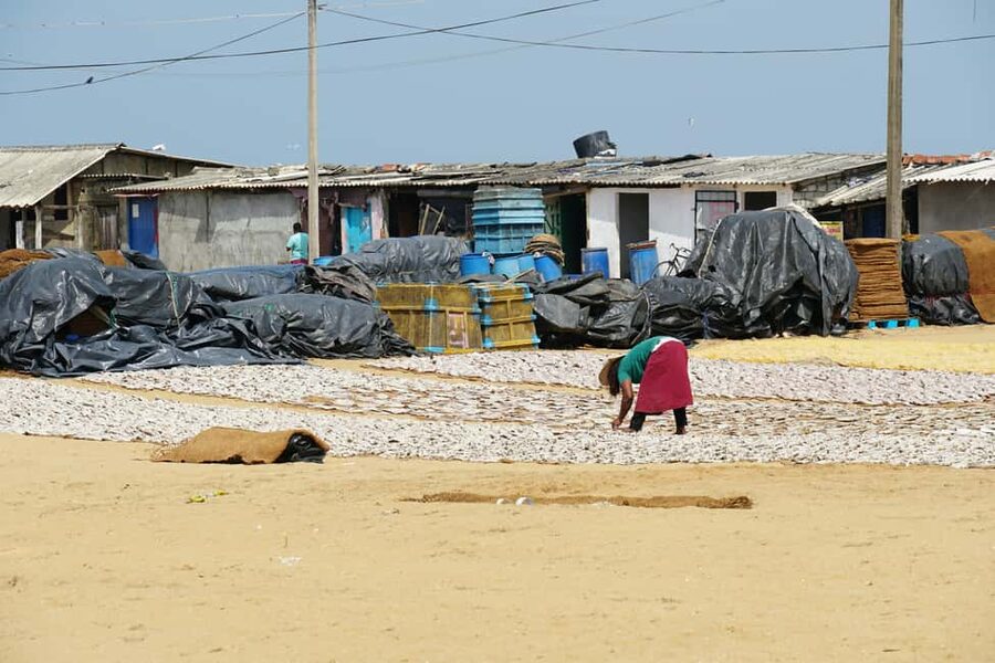 Negombo Private Tour: Market, Temples & Canal - The Negombo Fish Market and dry fish area