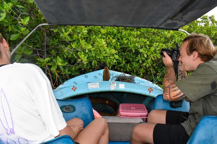 Negombo: Sunset lagoon boat tour with hotel transfers - From Your Negombo Hotel to the Dutch Canal