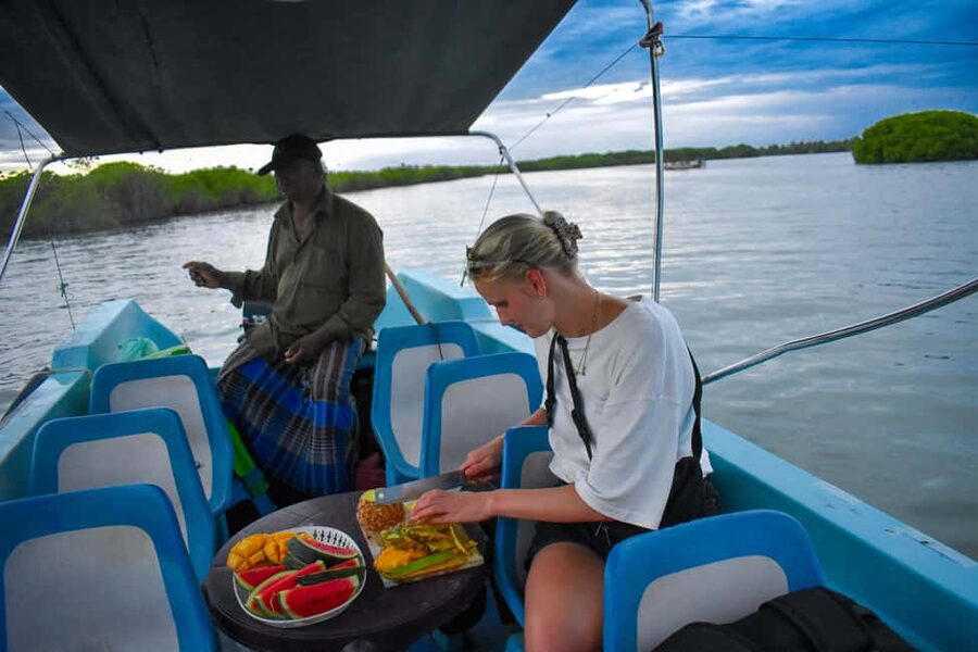 Negombo: Sunset lagoon boat tour with hotel transfers - Meeting the Toque Macaques on Monkey Island