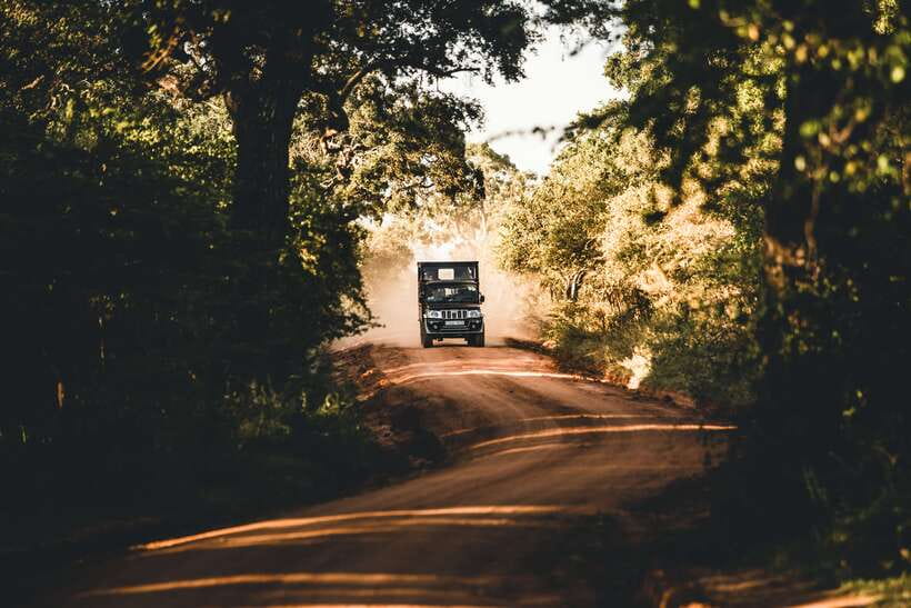 Overnight Treehouse Safari at Yala National Park - Key points to know before booking