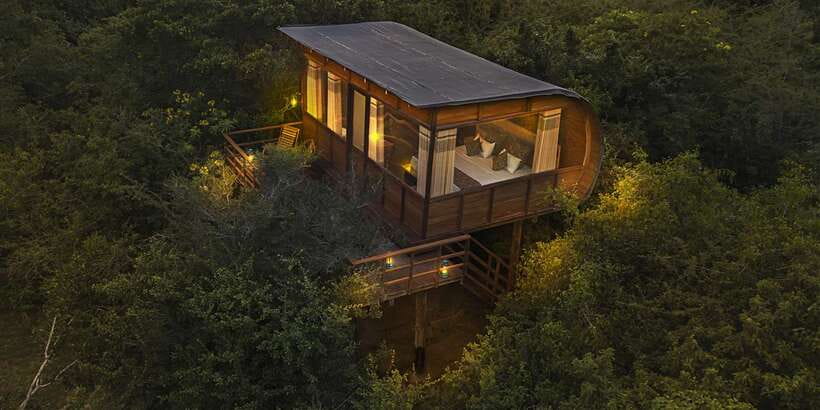 Overnight Treehouse Safari at Yala National Park - The dawn bush walk and lake breakfast