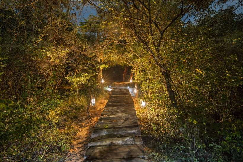 Overnight Treehouse Safari at Yala National Park - What the $549 price really covers