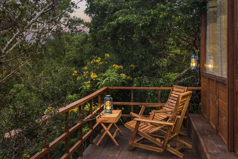 Overnight Treehouse Safari at Yala National Park - Who will enjoy this safari most