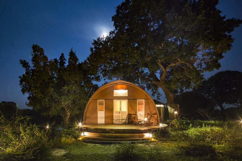 Overnight Treehouse Safari at Yala National Park - The long road from the coast to Yala