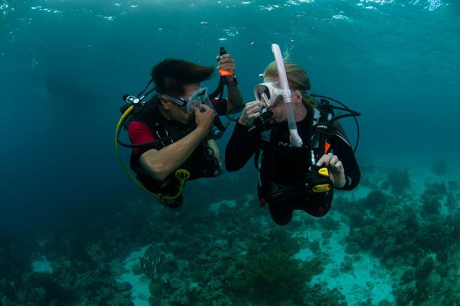 PADI Scuba Diver Course - Key points before you book