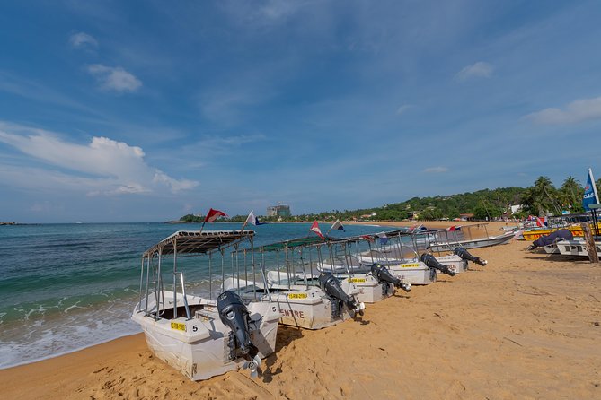 PADI Scuba Diver Course - What the PADI Scuba Diver qualification really gives you
