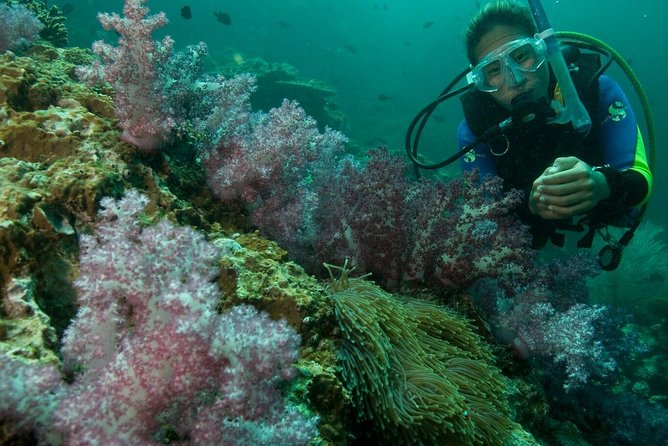 PADI Scuba Diver Course - Confined-water training builds confidence