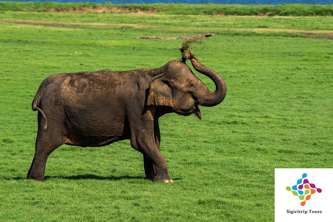 Personal Driver For Your Two Weeks Round Tour In Sri Lanka - Galle, Colombo, and the coast