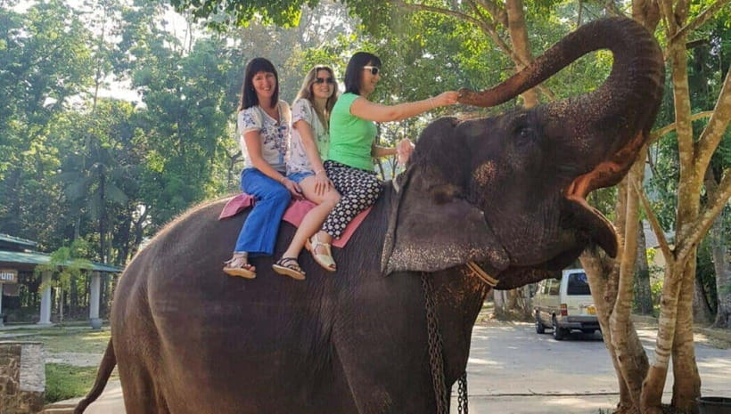 Pinnawala,Kandy Day Tour from Colombo/Negombo - Pinnawala first, before the heat and crowds
