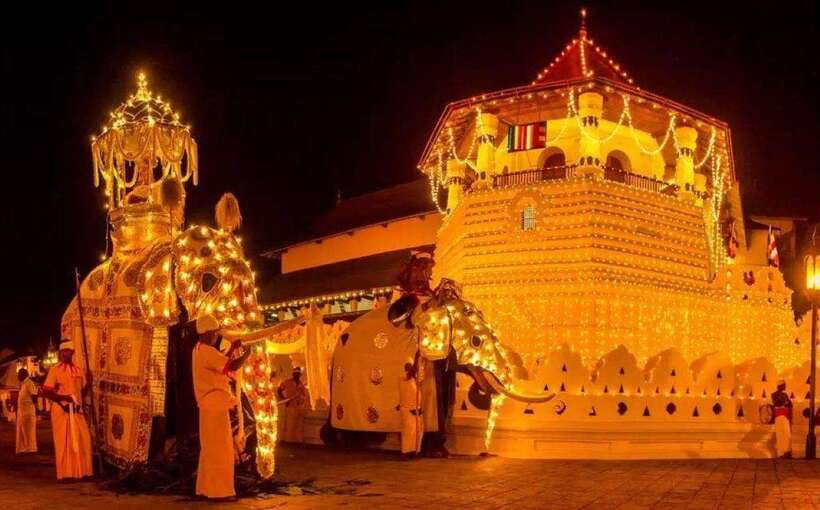 Pinnawala,Kandy Day Tour from Colombo/Negombo - A Ceylon tea factory in 90 minutes to two hours