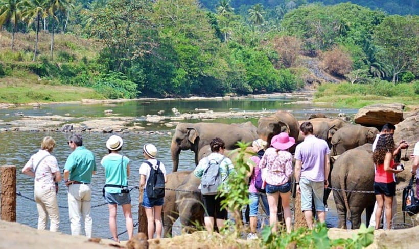 Pinnawala,Kandy Day Tour from Colombo/Negombo - What Pinnawala can and cannot offer
