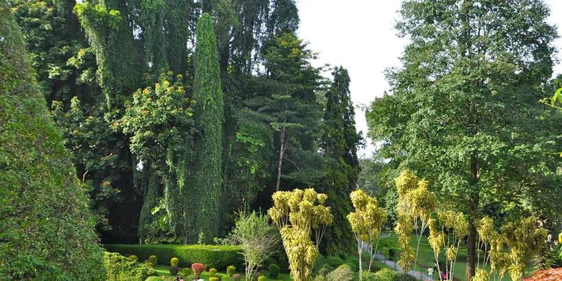 Pinnawala & Kandy Day Tour from Negombo - Why this Negombo to Kandy day trip works