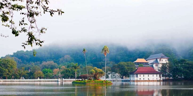Pinnawala & Kandy Day Tour from Negombo - Royal Botanic Gardens: 147 acres of breathing room