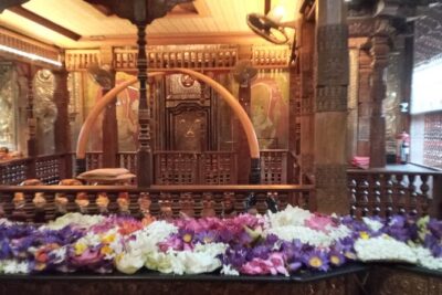 Pinnawala private day trip from colombo or negombo