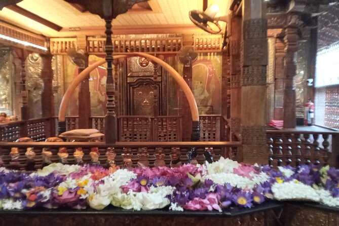 Pinnawala private day trip from colombo or negombo - Buddhist and Hindu temples on the route