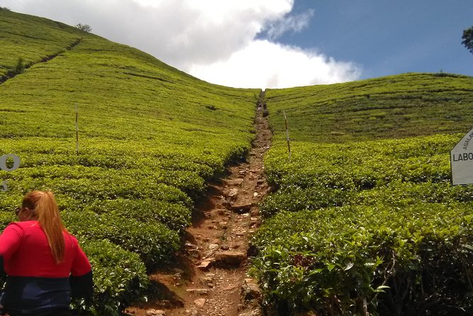 Private all inclusive Day tour Kandy, Pinnawala, & your own selected attractions - Why this day trip packs in so much