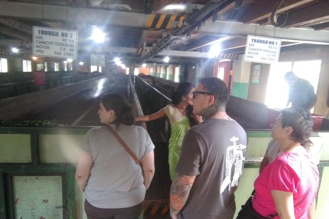 Private all inclusive Day tour Kandy, Pinnawala, & your own selected attractions - Is $97 a fair price?