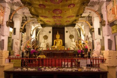 Private Car & Driver for 07 Days Tour In Sri Lanka