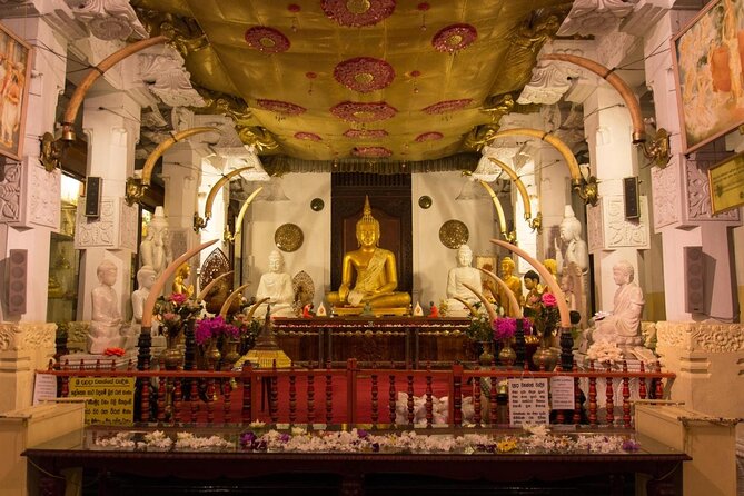 Private Car & Driver for 07 Days Tour In Sri Lanka - Day 1: Dambulla caves and elephant country