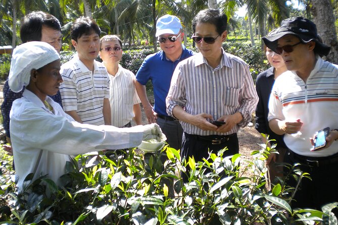 Private Galle Day Tour with Boat Safari & Tea Factory Visit - All Inclusive - Walking the Walls of Galle Dutch Fort