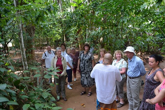 Private Galle Day Tour with Boat Safari & Tea Factory Visit - All Inclusive - Who Will Enjoy This Tour Most