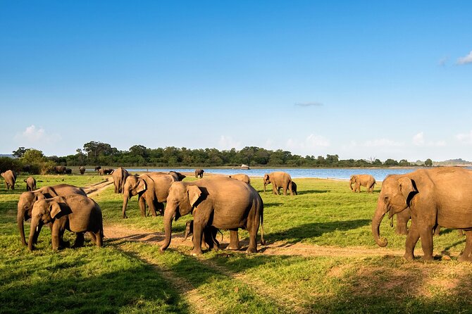 Private Multi-Day Outdoor Tour in Sri Lanka - A fast route across Sri Lanka