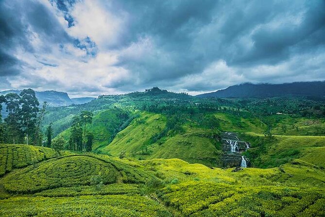 Private Multi-Day Outdoor Tour in Sri Lanka - Day 7: Colombo, shopping, and the airport