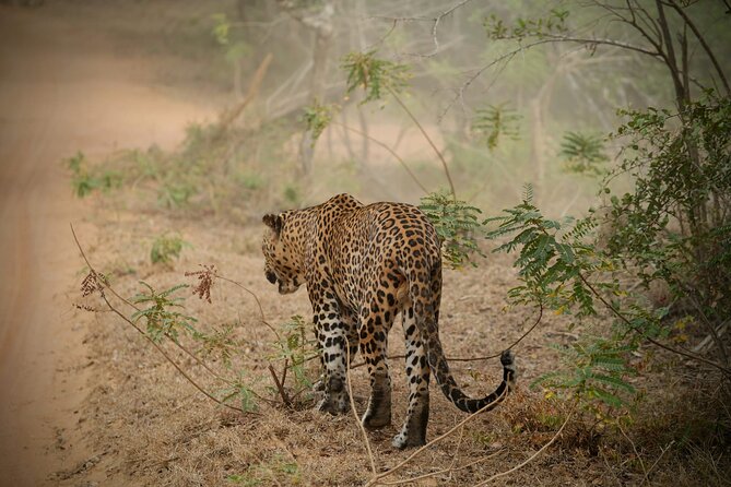 Private Multi Day Sri Lanka Tour with Chauffeur - Key points at a glance