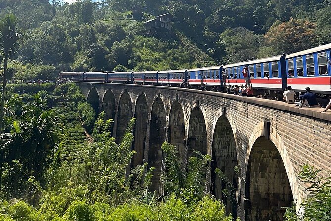 Private Multi Day Sri Lanka Tour with Chauffeur - Guides, driving, and the private format