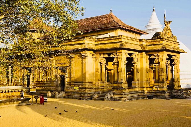 Private Night Tour in Colombo with Street Food Tasting - Viharamahadevi Park and the colonial Town Hall