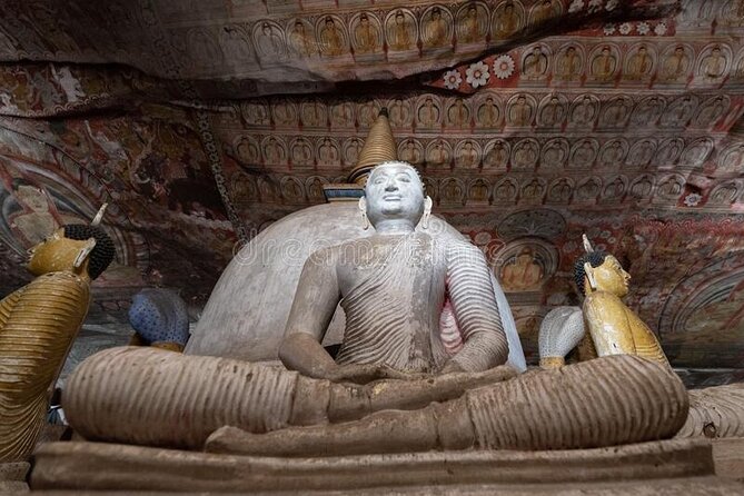 Private Sigiriya Day Tour and Authentic Sri Lankan Lunch Buffet - What the private setup really buys you