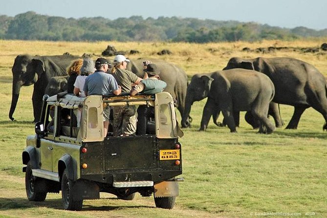 Private Trip to Sigiriya, Dambulla & safari from Colombo/ Negombo - The car, driver, and long return to Colombo
