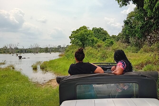 Private Wilpatu National Park Leopard safari from Colombo/Negambo - The real price: $78 plus park and jeep fees