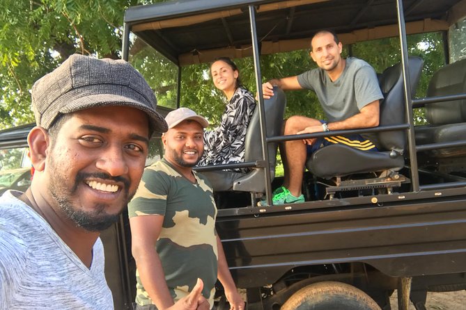 Safari at Wilpattu National Park from Negombo (All inclusive day tour) - What you might see, from elephants to Painted Storks