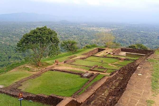 Safari Day Tour to Sigiriya Lion Rock and Golden Cave Temple - What the $45 price really covers