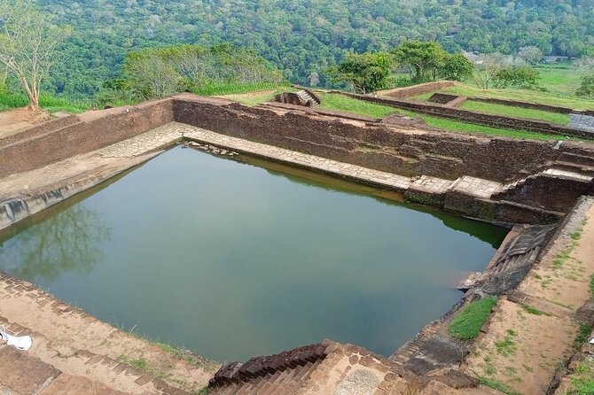 Safari Day Tour to Sigiriya Lion Rock and Golden Cave Temple - The small group and driver service