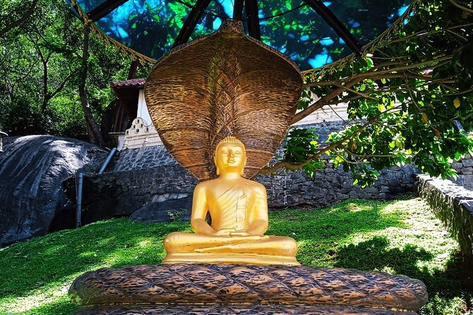 Safari Day Tour to Sigiriya Lion Rock and Golden Cave Temple - Booking details worth checking
