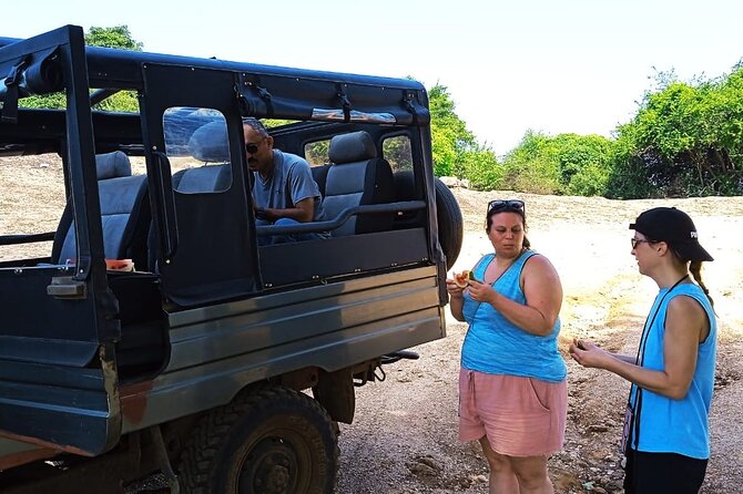 Safari Day Tour to Sigiriya Lion Rock and Golden Cave Temple - The climb, the frescoes, and the view