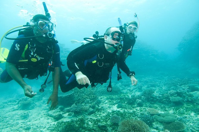 Scuba Diving For Beginners - Pool or sheltered-water practice