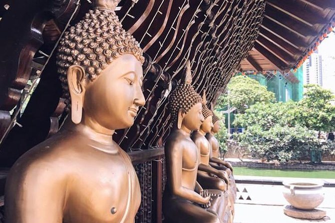 Shore Excursion Colombo City Tour Highlights - What the guide and vehicle mean for your day