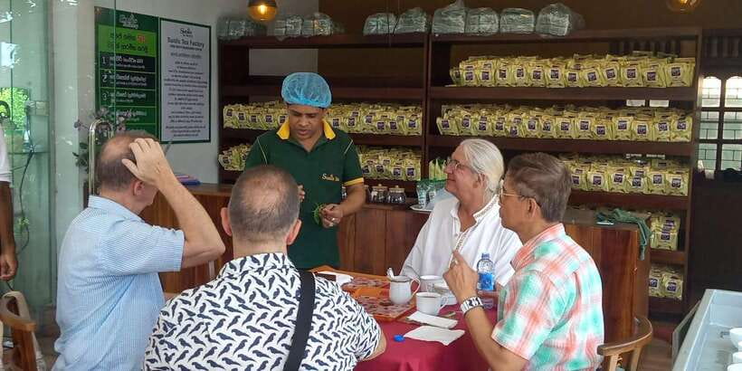 Shore Excursion Colombo Highlight Tour from Passenger Pier. - Temples with very different characters