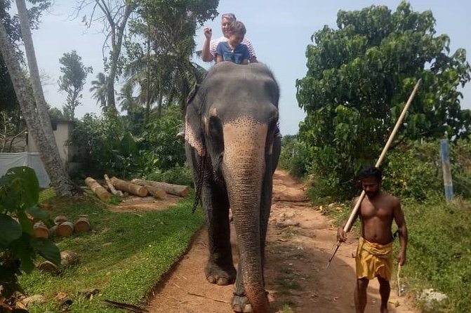 Shore Excursion From Colombo port to Ingiriya Tea Plantation & back for 2 People - How the $135.72 Price Works for Two