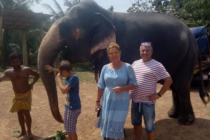 Shore Excursion From Colombo port to Ingiriya Tea Plantation & back for 2 People - Who Will Get the Most From This Day