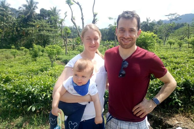 Shore Excursion From Colombo port to Ingiriya Tea Plantation & back for 2 People - Local Tastes Along the Way