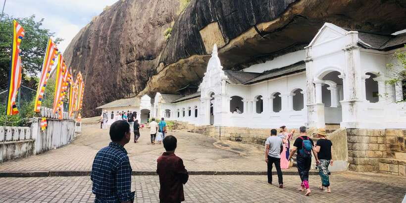 Sigiriya and Dambulla Private Full-Day Tour - Minneriya National Park and the elephant search