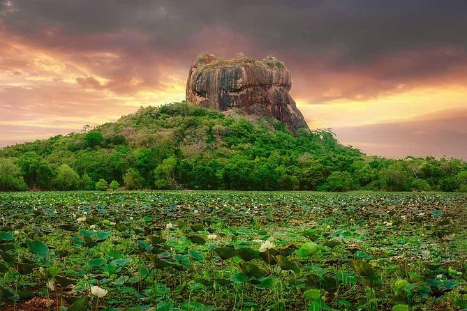 Sigiriya and Dambulla Tour (All Inclusive) - Lunch, water, and what the all-inclusive price means